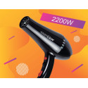 Sèche-cheveux Lizze Power 2200W (visuel)