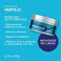 Masque Mirtilo aux extraits de myrtille Lowell 240 g (visuel)