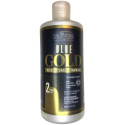 Lissage tanin N° 2 Blue Gold Salvatore 500ml